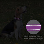 Reflective Dog Collar Padded - Image 5