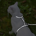 KOOLTAIL Cat Harness and Leash Set, Escape Proof Adjustable Kitten Harness - Image 6
