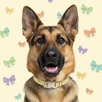 Small Dog Collar with Cute Bowtie Print, Girl Dog Collar - Image 8