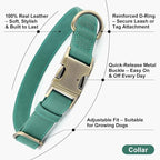 Plutus Pet Genuine Leather Dog Collar – Adjustable Pet Collar - Image 2
