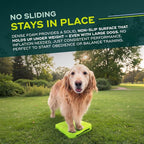 FitPAWS Balance Ramp | Dog Agility Equipment - Image 2