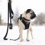 Best Pet Supplies Voyager Reflective Dog Leash or Collar - Image 5