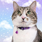 Set of 2: KioKatt Celestial Nylon Cat Collars - Image 2