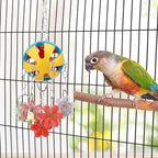Hypeety Pet Parrot Toy Plastic Colorful Birds Ball - Image 8