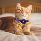 13Pcs Puppy Collars, Cat ID Collars - Image 4