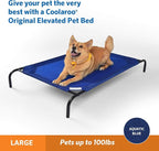 Coolaroo Original Elevated Dog Bed - Image 2