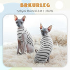 BRKURLEG Hairless Cats T Shirt, Cat Sweaters, Pullover Kitten Shirts, - Image 2