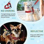 SlowTon No Pull Small Dog Harness and Leash Set, Puppy Soft Vest Harness Neck & - Image 3