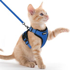 rabbitgoo Cat Harness and Leash by rabbitgoo