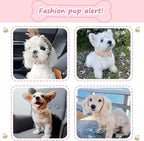 Halloween Dog Collar, Fall Dog Collars - Image 6