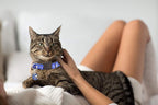 2Pcs Breakaway Cats Collars Cat Collars - Image 5