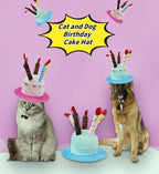 Cute Pet Party Hat for Dogs&Cats - Image 4