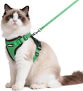 rabbitgoo Cat Harness and Leash by rabbitgoo