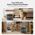 Automatic Cat Feeder and Water Fountain: 3L Timed Precise Cats Food Dispenser& - Image 4
