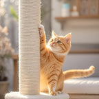 PowerKing Natural Sisal Replacement Scratching Post, 4 Pieces M8 Cat Scratch - Image 8