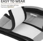 PUPTECK Soft Mesh Cat Vest Harness and Leash Set Puppy Padded Pet Harnesses - Image 5