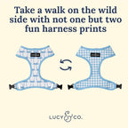 Lucy & Co. Cute Reversible Dog Harness Walking Halter - Image 6