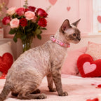 EXPAWLORER Valentine's Day Leather Cat Collar - Image 8