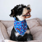 lionet paws Patriotic 4th of July Dog Bandana Summer Popsicle - Image 2