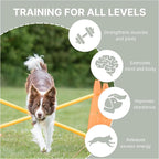 TRIXIE Dog Agility Hurdle Cone Set – Dog Agility Set - Image 4