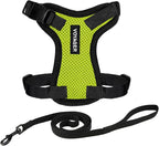 Voyager Escape-Proof Step-in Lock Cat Harness & 5ft Neoprene-Handle Leash Set by BestPetSuppliesLLC