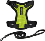 Voyager Escape-Proof Step-in Lock Cat Harness & 5ft Neoprene-Handle Leash Set by BestPetSuppliesLLC
