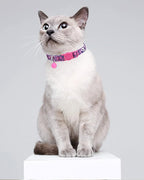 SOLMOONY Cute Cat Collar for Girl Boy, Colorful Breakaway Cat Collars - Image 3