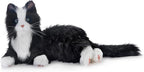 JOY FOR ALL Companion Pet for Seniors by AgelessInnovation