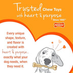 Nylabone Freezer Bone Puppy Chew Toy, Soothing Teething Toys - Image 12
