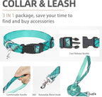 PUPTECK Adjustable Dog Harness Collar and Leash Set Step in No Pull Pet Harness - Image 4