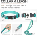 PUPTECK Adjustable Dog Harness Collar and Leash Set Step in No Pull Pet Harness - Image 4