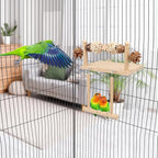 Litewoo Bird Perch Wooden Platform Bird Swing Chew Toys Play Gyms Exercise - Image 5