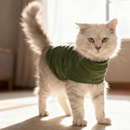 EXPAWLORER Soft Cat Sweater - Image 6