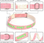 DOG WORLD Custom Fluorescent Dog Collar - Image 6