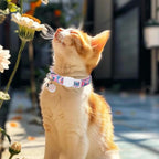 Unique Style Paws Pink Cat Collar, Breakaway Cat Collar - Image 6