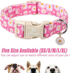 Summer Daisy Dog Collar, Cute Floral Adjustable Pink Dog Collars - Image 6