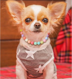 Hosiwei Dog and Cat Rainbow Beads Collar Necklace, Faux Pearls Necklace Pet - Image 3