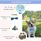 Pet Birthday Party Set with Hat and Bandana - Image 3