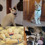 18Pcs Reflective Cat ID Collars - Image 4