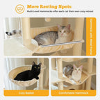 81" Heavy Duty Cat Tree for Large Cats up to 20lbs - Image 3