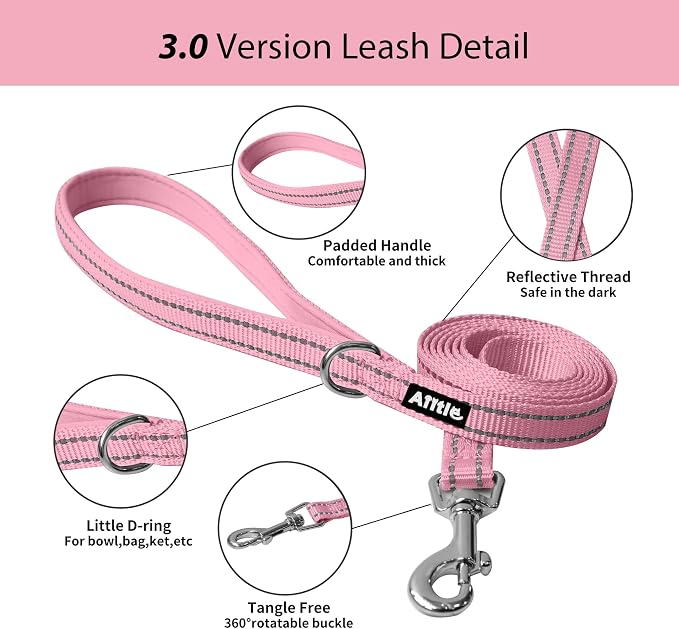 AIITLE Step in Dog Harness and Leash Set - Image 10