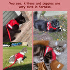 Cat Harnesses and Puppy Harness - Image 3