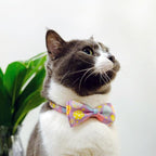2 Pack Easter Day Cat Collar - Image 5