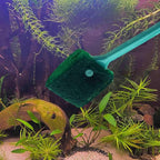 3 PCS Double-Sided AOODOOM Aquarium Fish Tank Algae Cleaning Brush - Image 4