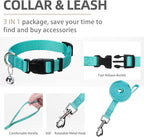 PUPTECK Adjustable Dog Harness Collar and Leash Set Step in No Pull Pet Harness - Image 4