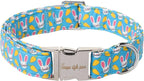 Unique style paws Dog Collar Metal Buckle Collar by Uniquestylepaws