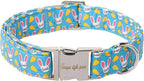 Unique style paws Dog Collar Metal Buckle Collar by Uniquestylepaws