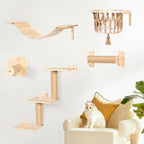 Cat Wall Shelves and Perches, Wall Mounted Cat Furniture by TAKEKIT
