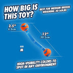 Chuckit! Ultra Duo Tug Dog Toy - Image 3