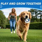 Glow in The Dark Dog Toys Ball, Interactive Dog Ball, Shaking - Image 3
